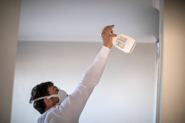 Mold Testing and Removal in Jonesville, NC