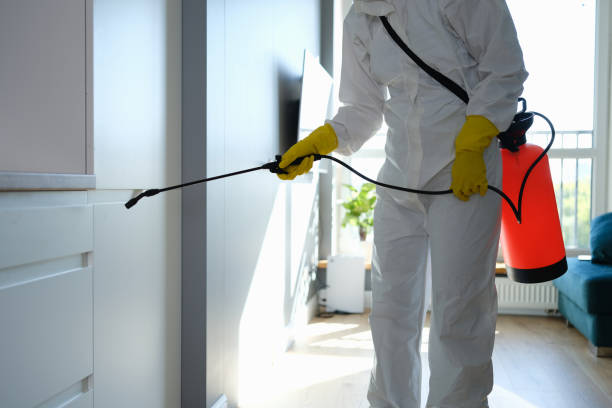 Best Home Mold Removal  in Jonesville, NC