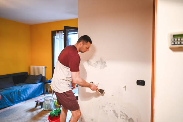 Best Local Mold Removal Service  in Jonesville, NC